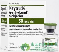 �ΰ�������ķ����(Pembrolizumab)��ҩһ�������ӳ�������