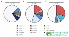 �ΰ�ALK�ںϿ���������ҩ�����������ѡ��