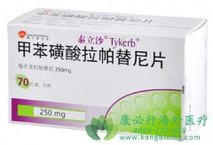 ����ҩ����������(Lapatinib)��������˵����