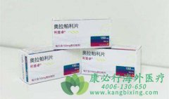 ��������/������������ʹ��˵����