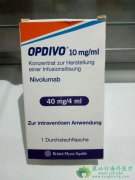 �����Ƽ�PD-1��PD-L1����˭�Ŀ���Ч�����ã�