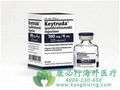 �������鵥��(Keytruda)���İ�˵����