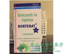 ��������(Bortezomib)һ�����Ƶ�ϵͳ�������͵������仼�ߵ�ǰհ�Թ۲��о�