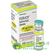 �ΰ�˫����ʱ������Opdivo������ƥ����(Yervoy)�ƽ���ϻ���