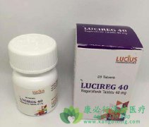 ������ҩ��������(Regorafenib)����Ǳ�ڵ����ݻ���