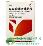 ����ҩ����������(Pyrotinib)�ٴεǶ�JCO��־