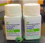 ���ٰ��ڷ����Ʒ�ʧЧ��������(Palbociclib)�����Ʒ�������