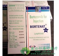 �෢�Թ�����������ʹ����������(Bortezomib)������Ӧ��ǿ������