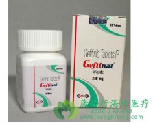 ����ҩ�Ｊ������(Gefitinib)�ĳɷ���ʲô��Ҫ���ö��
