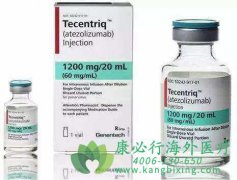 ������ҩ�ﰢ���鵥��(Atezolizumab)���ϱ����������ٴ�������