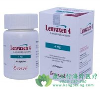 ������ҩ�ַ�������й����Ե���������Ч��