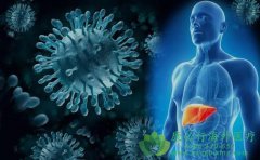 �����������Ƽ�״�ٰ�����ֲ�����Ӧ�ʸ���