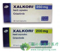 ����ҩ���������(Crizotinib)ROS1����NSCLC�ĳ�ʤ��