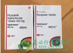 ����ҩ����������(Pazopanib)����������������֯����
