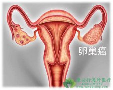 ��������Ͱ����������ְ���ҩ��ıȽ�