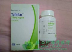 ����ҩ���������(Dabrafenib)����������������ҩ��ע��