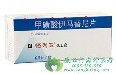 ���ڷ��ð���ҩ����������(imatinib)θ�������ø���ô��