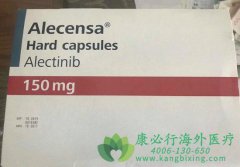 ����ҩ�ﰬ������(Alectinib)���õ���ҩ���鼰������Ӧ�Ĵ���