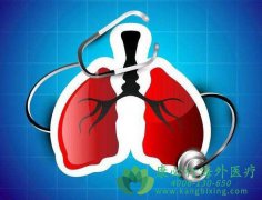 ��Сϸ���ΰ�ALK����/�ںϳ��ð���ҩ��᷽��