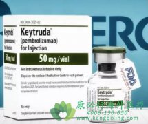 ������ҩ���������鵥��(Keytruda)��������Сϸ���ΰ�