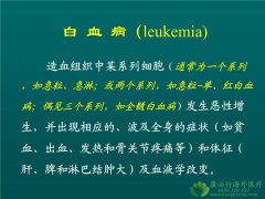 �����������������ܰ�ϸ����Ѫ����С�ܰ�ϸ���ܰ���