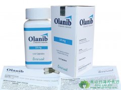 ��������(Olaparib)����׼���������ѳ��������ٰ�