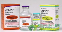 FDA��׼Opdivo������ƥ����(Yervoy)�������Ƹ�ϸ����