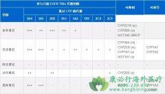 EGFRͻ�����Էΰ����߰���������и�����ҩ��ȫ��