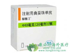 ������ҩ�������鵥��(Trastuzumab)�ļ����������������