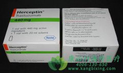 ������ҩ�������鵥��(Trastuzumab)��ʹ�þ���