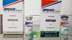 ������ҩ�����䵥��(Nivolumab)��ת����������Ƥ�ʰ��е�Ӧ��