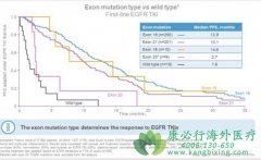 ��ϣ����򽫽���ΰ�EGFR20�����Ӳ���ͻ��