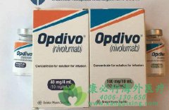 ���ڿ�����ҩ�����䵥��(Nivolumab)��ҩ���Ƶ�һ���ٴ�����