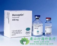 Ƥ��ע�俹����ҩ�������鵥��(Trastuzumab)������ý��