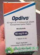 ���䵥��(Nivolumab) vs���������������ڸΰ�һ�����Ƶ��ٴ�����
