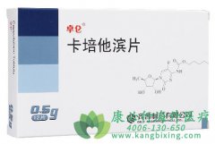 �����������Ͽ�������(Capecitabine)����HER2����ת�������ٰ�