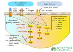 �����������Ʒΰ�ROS1�ں���ҩ�������ѡ��