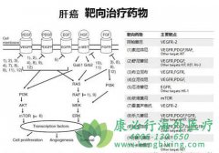 ����ҩ�ַ�����/�ط��������Ƹΰ�Ч����Σ�