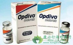 Opdivo��Yervoy����ѻ�FDA��׼��������4�����͵İ�֢
