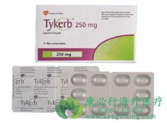 ����ҩ����������(Lapatinib)�Ľ���֤��ע������