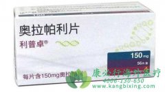 ������ҩ�Ļ�����ô��PARP���Ƽ���������(Olaparib)