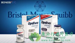 PD-1ŷ����(Opdivo)�ΰ�������Ч�������