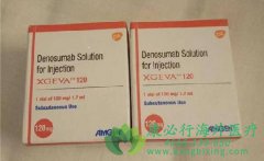 ������������Ĺ�ת��ҩ���ŵ����(Denosumab) 