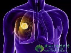 ALK���Է�Сϸ���ΰ��İ�������ҩ�Ｐ����