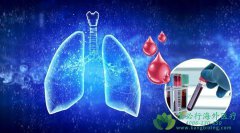 ���ڷ�Сϸ���ΰ���ת��Ӧ��������ƣ�