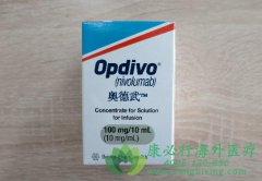 ������ҩ��ŷ����(Opdivo)�����й�θ��ӭ������������ʱ�� 