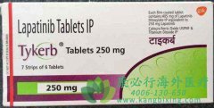 ������ҩ����������(Lapatinib)����������˵����