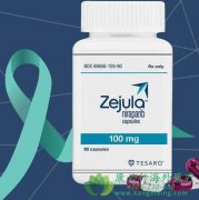 ����ҩ��������/��������(niraparib)��������Щ��