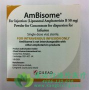 ע��������ù��B֬���尲����(Ambisome)ʹ��Ӧ���˽���Щ����Ҫ����Ϣ��