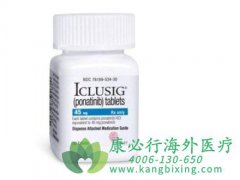 ����Ѫ��ҩ����������(ponatinib)�ļ��